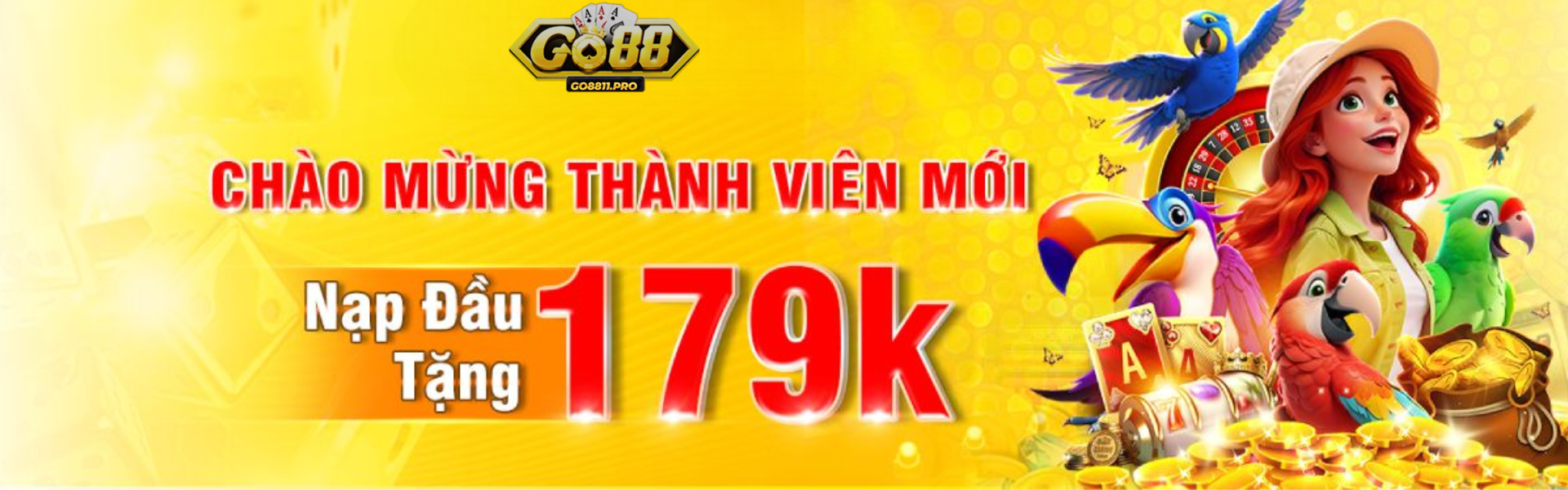 Banner www.vlaser.vn